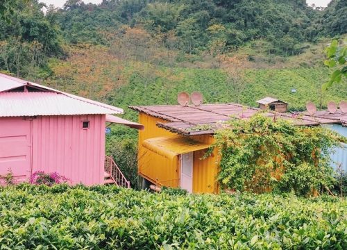 [REVIEW] Kinh nghiệm du lịch Mộc Châu đầy đủ, chi tiết nhất